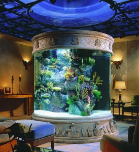 When you think about shapes for your aquarium, a cylindrical shape is not a bad idea in the center of a house